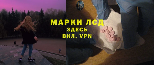 ГАЛЛЮЦИНОГЕННЫЕ ГРИБЫ Абаза