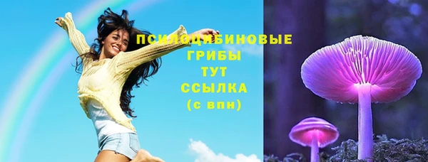 ГАЛЛЮЦИНОГЕННЫЕ ГРИБЫ Абаза