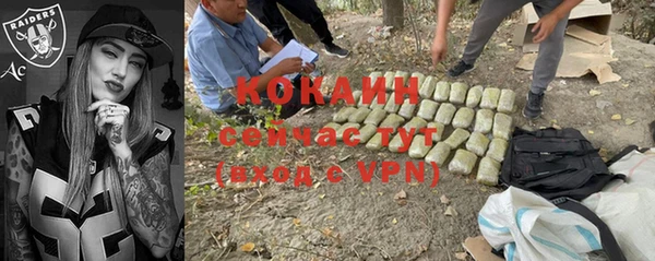 ГАЛЛЮЦИНОГЕННЫЕ ГРИБЫ Абаза