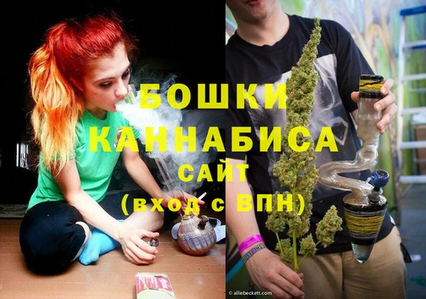 ГАЛЛЮЦИНОГЕННЫЕ ГРИБЫ Абаза