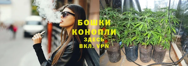 ГАЛЛЮЦИНОГЕННЫЕ ГРИБЫ Абаза