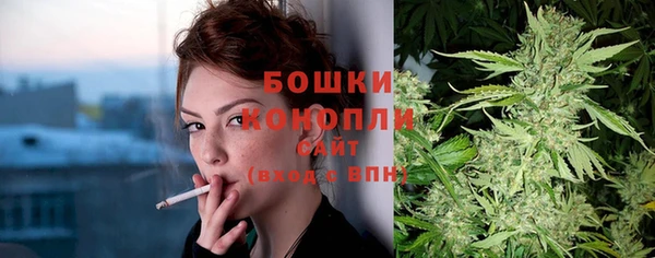 ГАЛЛЮЦИНОГЕННЫЕ ГРИБЫ Абаза