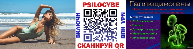 Псилоцибиновые грибы Psilocybine cubensis  Урень 